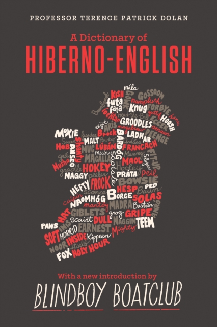 Book cover of A Dictionary of Hiberno English