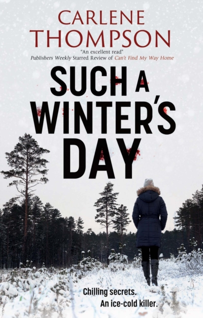 Book cover of Such a Winter's Day