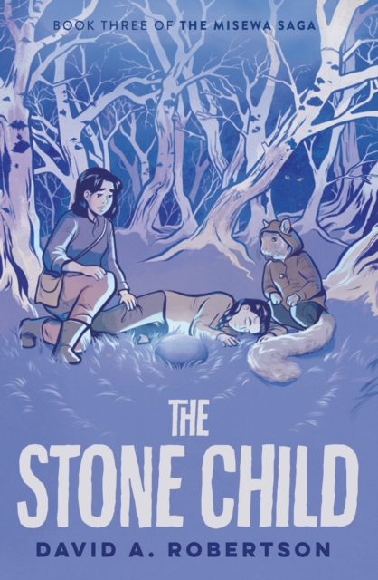 Book cover of The Stone Child