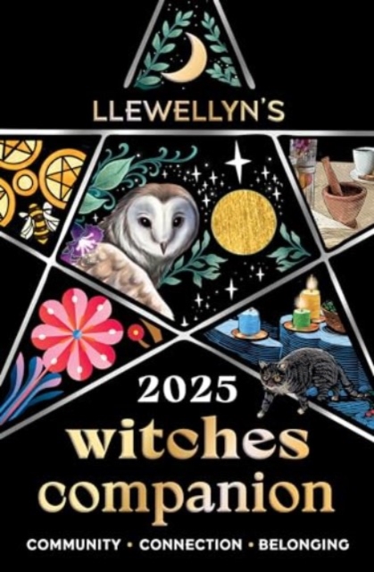 Book cover of Llewellyn's 2025 Witches' Companion