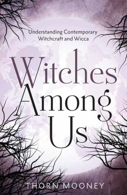 Book cover of Witches Among Us