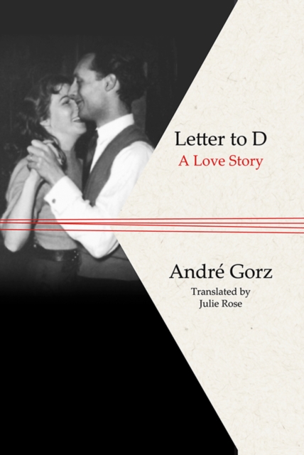 Book cover of Letter to D