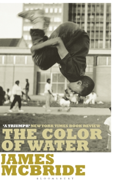 Book cover of The Color of Water