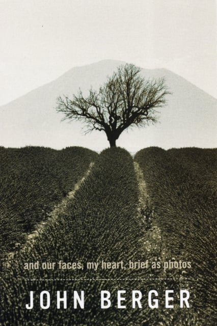 Book cover of And Our Faces, My Heart, Brief as Photos