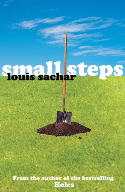 Book cover of Small Steps