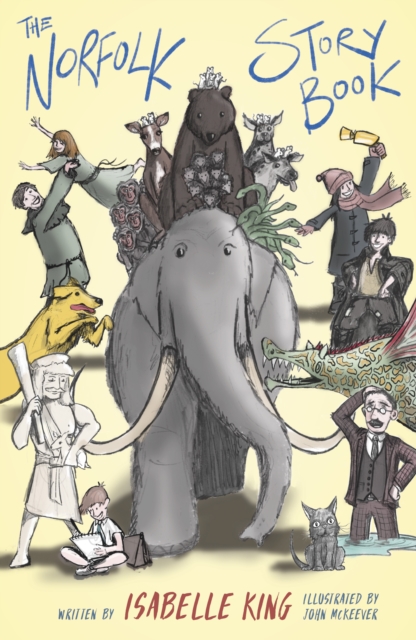 Book cover of The Norfolk Story Book