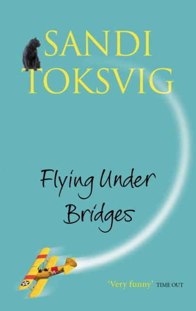 Book cover of Flying Under Bridges