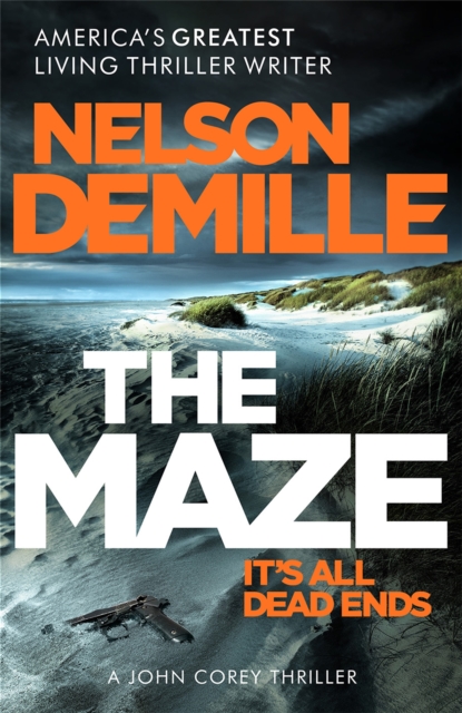 Book cover of The Maze