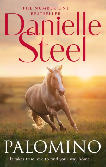 Book cover of Palomino
