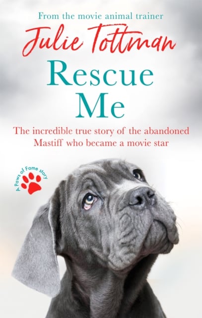 Book cover of Rescue Me