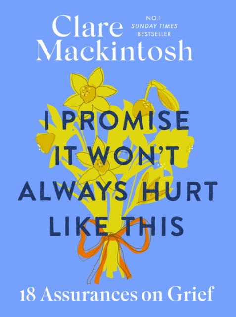Book cover of I Promise It Won't Always Hurt Like This