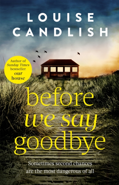 Book cover of Before We Say Goodbye