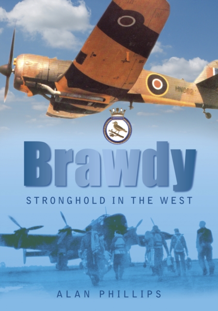 Book cover of Brawdy