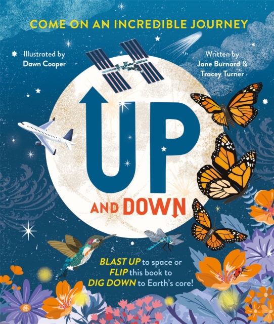 Book cover of Up and Down