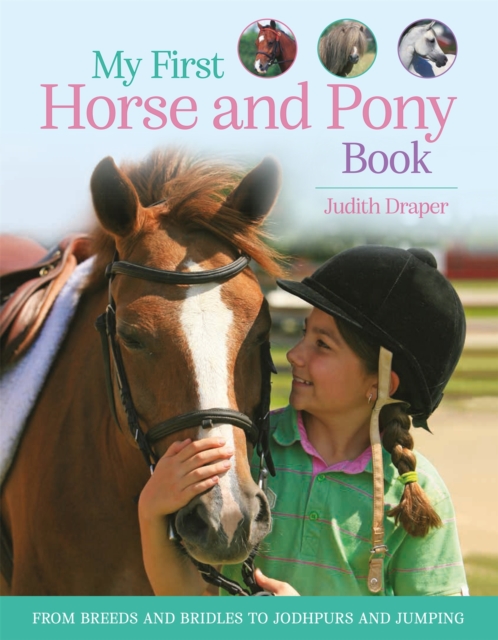 Book cover of My First Horse and Pony Book
