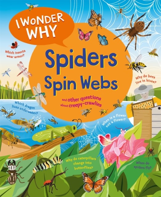Book cover of I Wonder Why Spiders Spin Webs