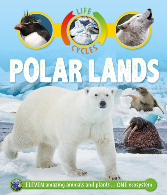 Book cover of Life Cycles: Polar Lands