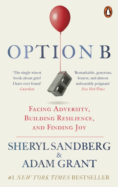 Book cover of Option B