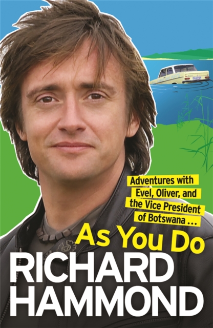 Book cover of As You Do