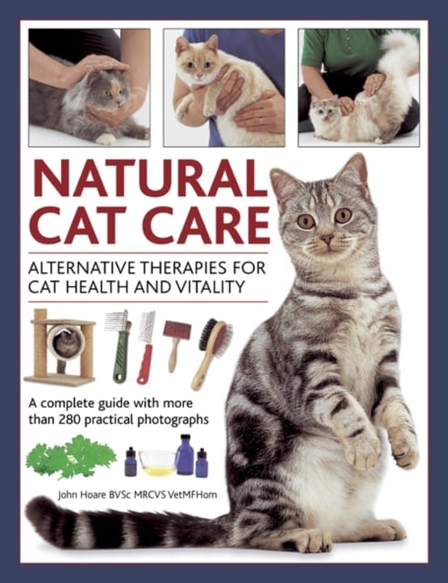 Book cover of Natural Cat Care
