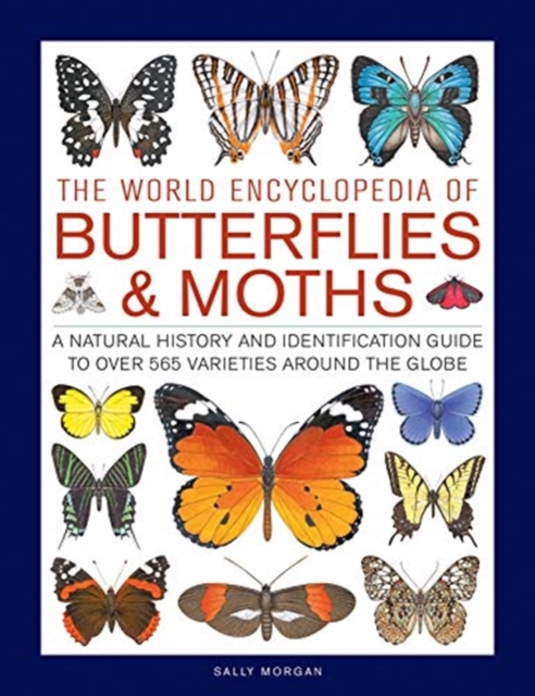 Book cover of Butterflies & Moths, The World Encyclopedia of