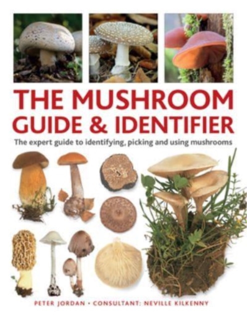 Book cover of The Mushroom Guide & Identifer