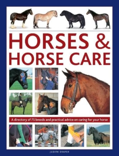 Book cover of Horses & Horse Care