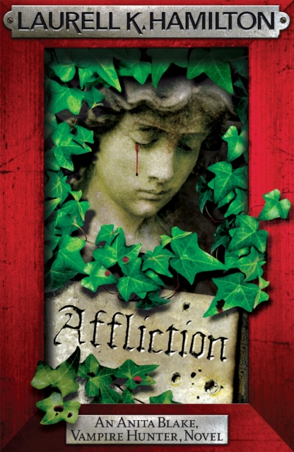 Book cover of Affliction