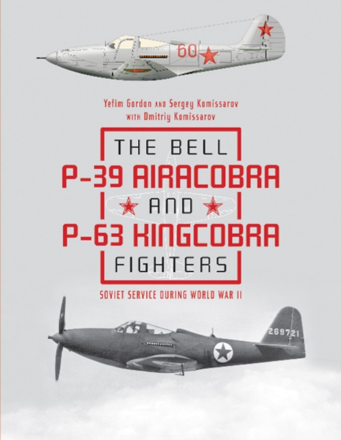 Book cover of The Bell P-39 Airacobra and P-63 Kingcobra Fighters