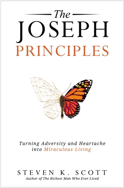 Book cover of The Joseph Principles