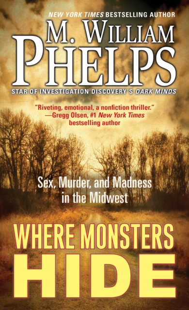 Book cover of Where Monsters Hide