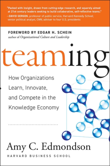 Book cover of Teaming