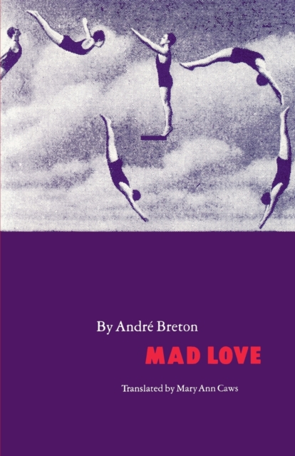 Book cover of Mad Love