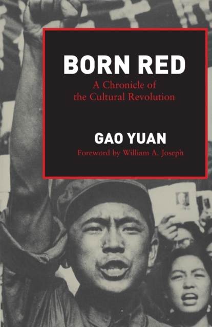 Book cover of Born Red