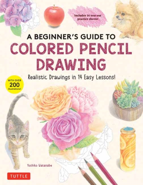 Book cover of A Beginner's Guide to Colored Pencil Drawing