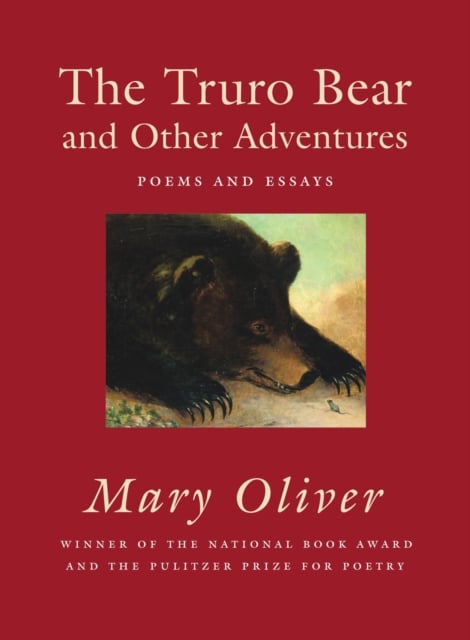 Book cover of The Truro Bear and Other Adventures