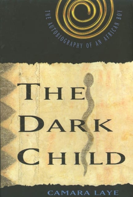 Book cover of The Dark Child