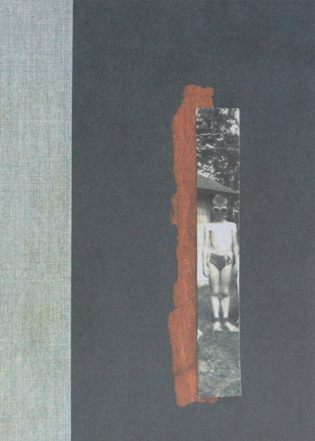 Book cover of Nox