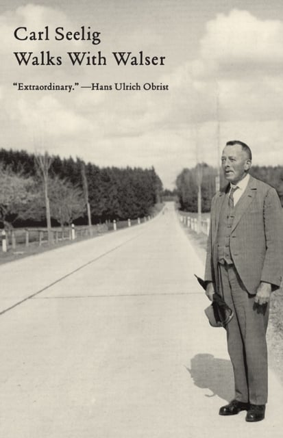 Book cover of Walks with Walser