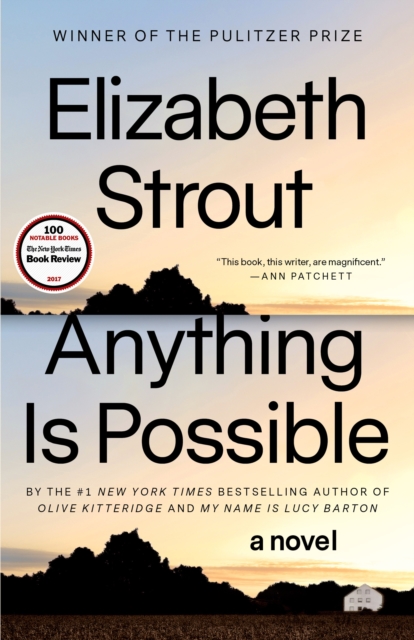 Book cover of Anything Is Possible