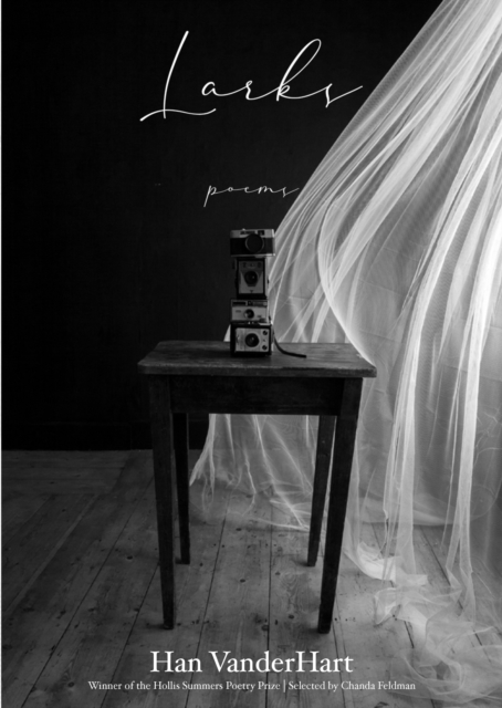 Book cover of Larks