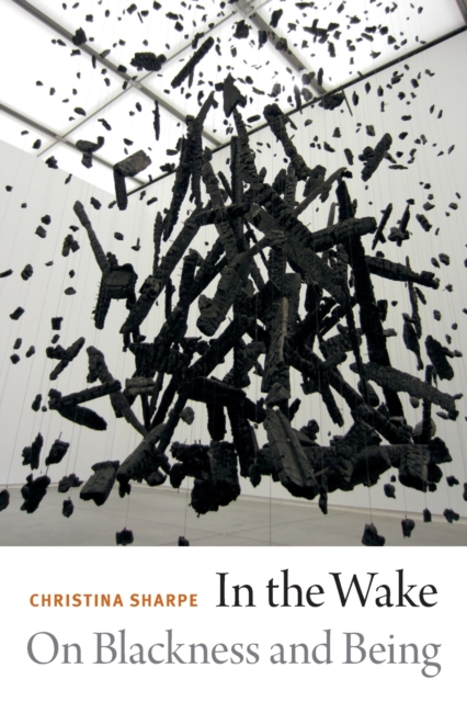 Book cover of In the Wake