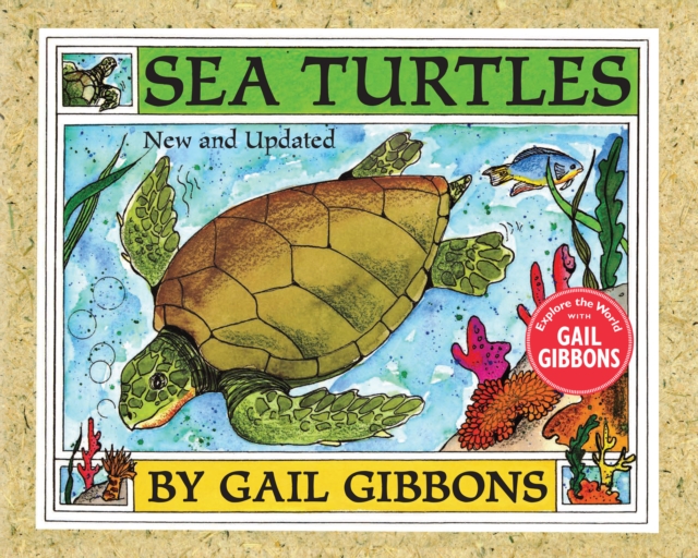 Book cover of Sea Turtles