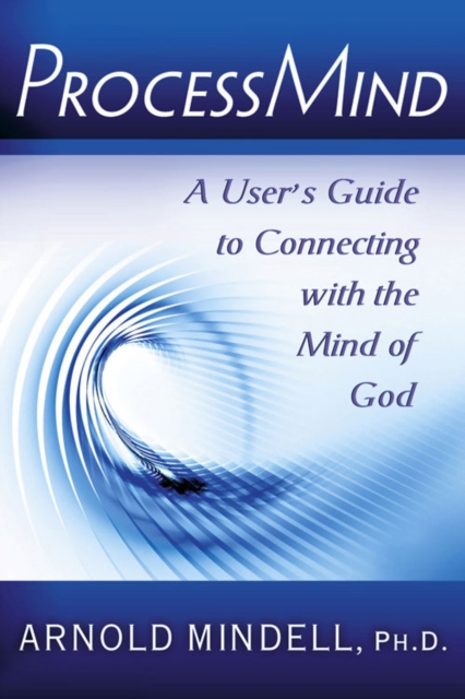 Book cover of Processmind
