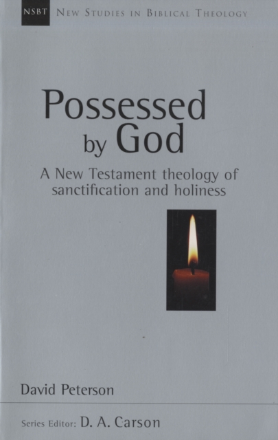 Book cover of Possessed by God