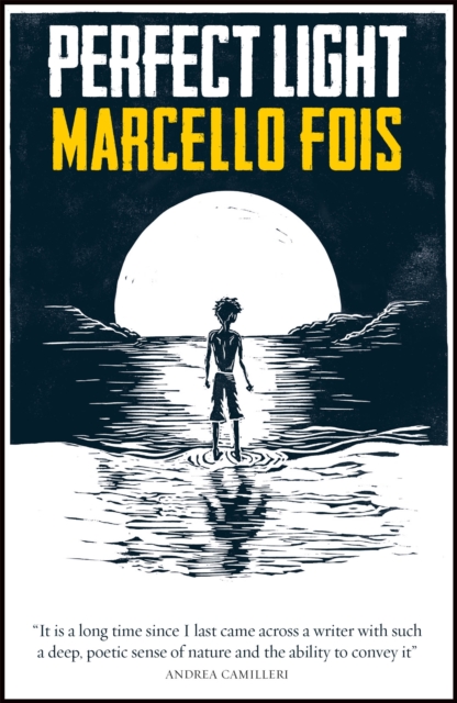 Book cover of Perfect Light