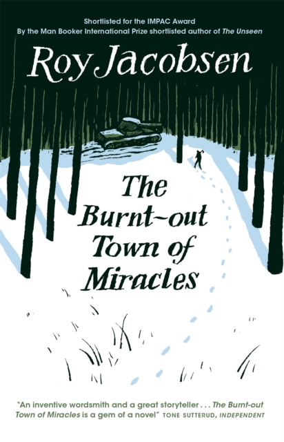 Book cover of The Burnt-Out Town of Miracles