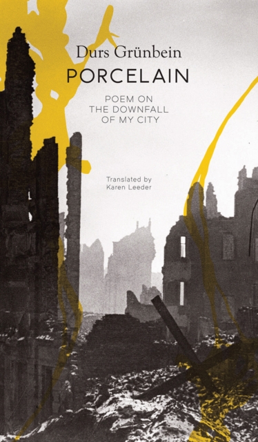Book cover of Porcelain