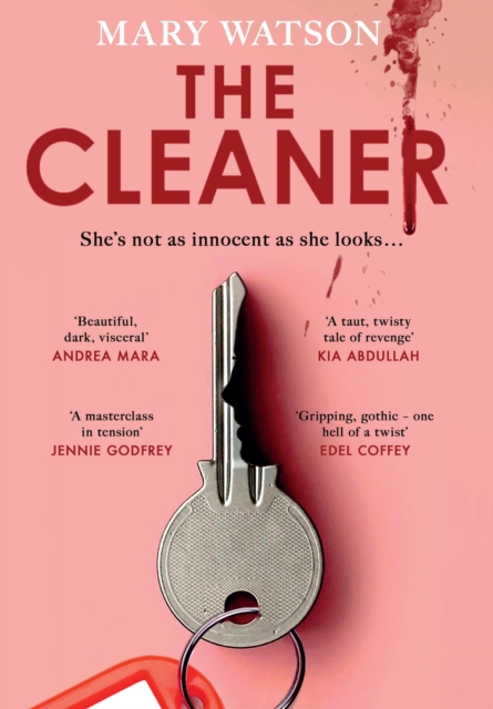 Book cover of The Cleaner