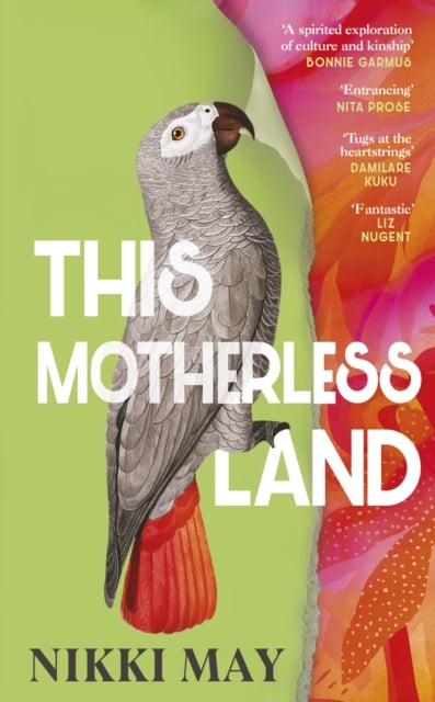 Book cover of This Motherless Land